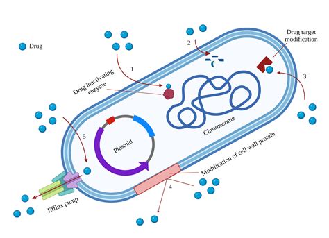 Mechanism Of Chemical Resistance In Bacteria Biorender Science Templates