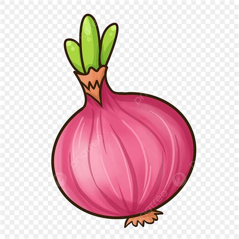 Clipart Yellow Onion