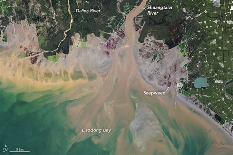 Landsat Image Gallery A Changing Estuary Lined With Red