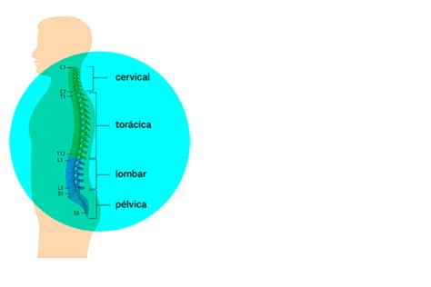 Dor Nas Costas Principais Causas E Como Aliviar Nav Dasa