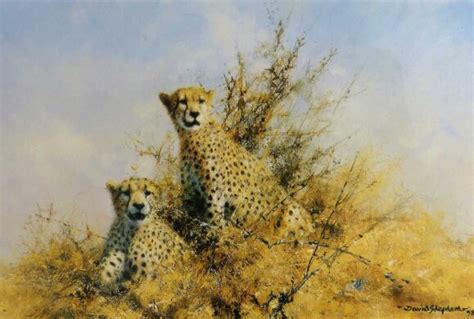 Cheetah Artwork David Shepherd Wildlife Foundation