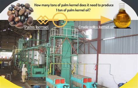 How Many Tons Of Palm Kernel Does It Need To Produce Ton Of Palm