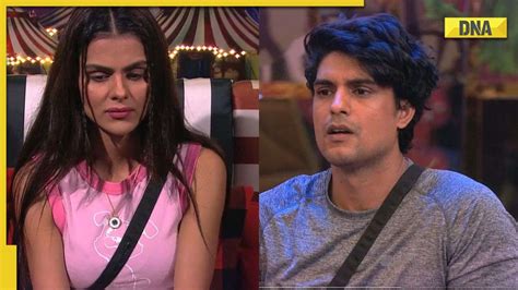 Bigg Boss 16 Priyanka Chahar Chowdhary Proves Friendship For Ankit