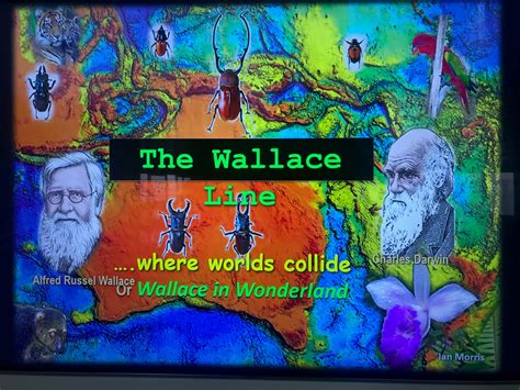 May 13: The Wallace Line, John Lauritz - Noosa Parks Association Inc.