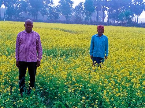 କୃଷି ବିଭାଗ ଓଡ଼ିଶା On Twitter Krushi Bibhag And Dbalasore Have Revived