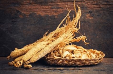 Gastronomadas Mx Ginseng Una Raíz Increíble Y Poco Común