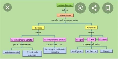 Mapa Conceptual De Las Causas De Desequilibrio En Los Ecosistemas