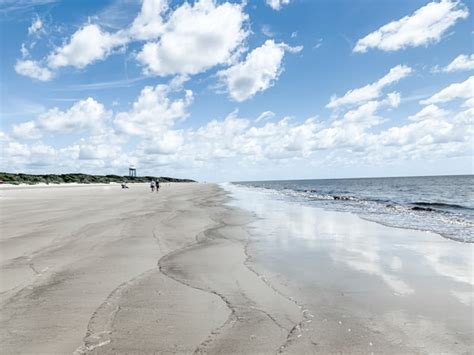 A Guide to the Best Jekyll Island Beaches, Including Driftwood Beach - CS Ginger Travel