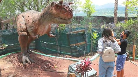 Confirmado Avistan Dinosaurios En El Parque Guanajuato Bicentenario La Silla Rota