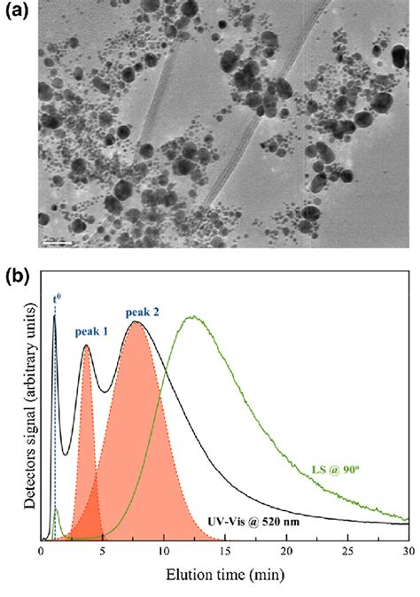 A Representative TEM Image Of The Polydisperse AuNP Sample Scale Bar