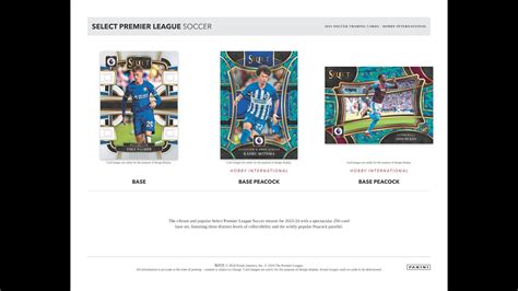 Tiger Bgbpb Soccer Panini Select Premier League International