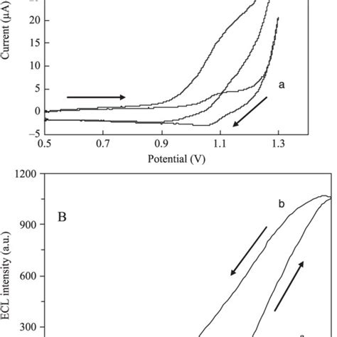 Cyclic Voltammograms A And ECL Potential Curves B Of The Modified