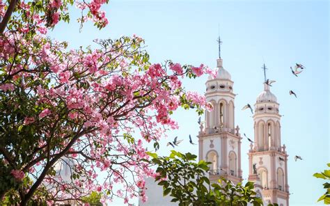 Pronóstico meteorológico para Sinaloa calor y cielos despejados El