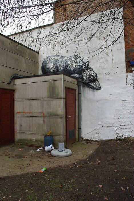 Roa Biography Artwork Artists Street Art Bio