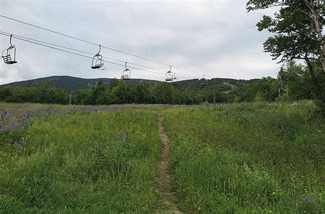 Saddleback Mountain Hike Via the Ski Resort in Rangeley, Maine