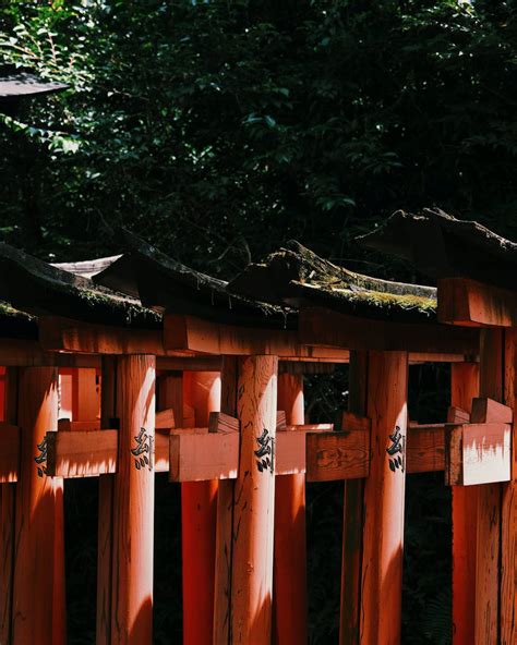 Fushimi Inari Shrine Photos, Download The BEST Free Fushimi Inari ...