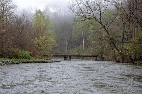 Spring Creek Stream Report - Dark Skies Fly Fishing