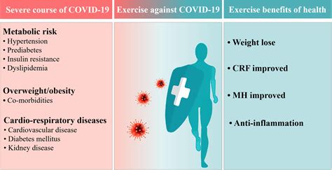 Frontiers A Preventive Role Of Exercise Across The Coronavirus