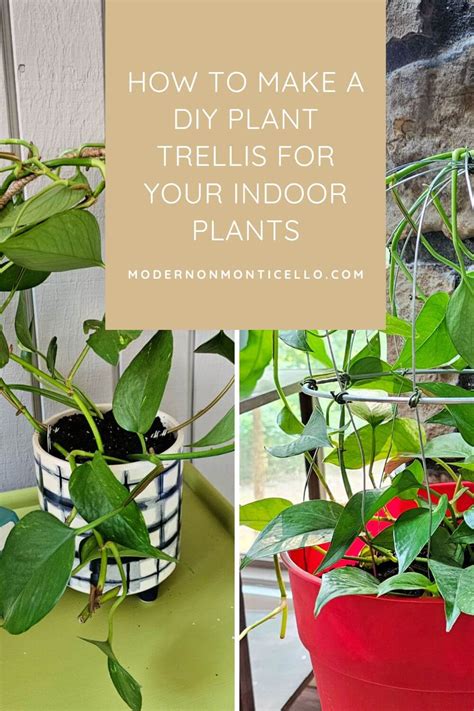 How To Make A Diy Plant Trellis For Pots For Indoor Plants Modern On Monticello