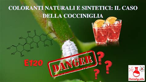 Coloranti Naturali E Sintetici Il Caso Della Cocciniglia Pillole