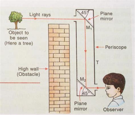 Draw A Periscope And Write Lines Brainly In