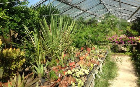 Tropicarium Bonsa La Baule La Baule Escoublac Tourisme Bretagne