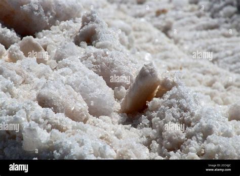 Extracción De Sal Marina En Las Salinas De La Laguna De Ojo De Liebre