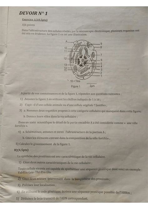 SOLUTION Svt Terminal Studypool