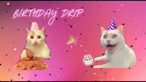 I Threw My Cat A B Day Party And Made Her A Cake Birthday Drip Alesanasteph Youtube