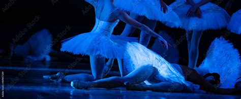 Swan Lake ballet. Ballerinas dancing Stock Photo | Adobe Stock