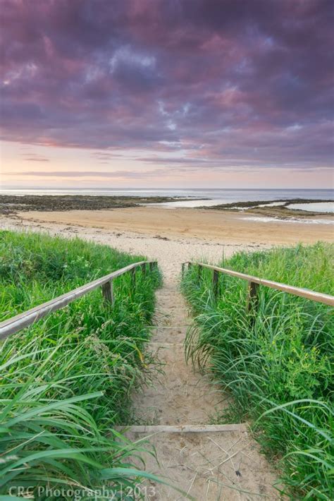 Free Images Beach Landscape Sea Coast Tree Water Nature Path