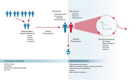 Hiv Model Overview — Hiv Model Documentation