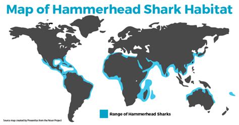 Discover The Great White Shark Habitat Map Seethewild