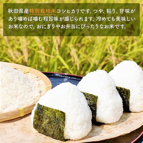 【令和5年産】【無洗米】特別栽培米コシヒカリ5kg×2（秋田県にかほ市） ふるさと納税サイト「ふるさとプレミアム」