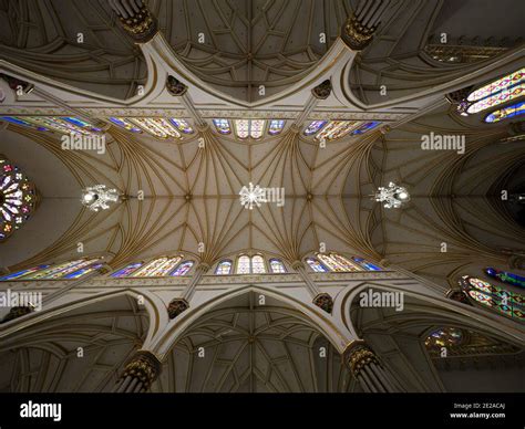 Panorama Interior Techo Arquitectura Vista De La Iglesia G Tica