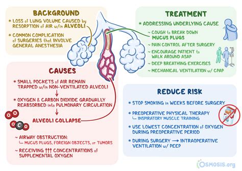 Absorption Atelectasis What Is It Causes And More Osmosis