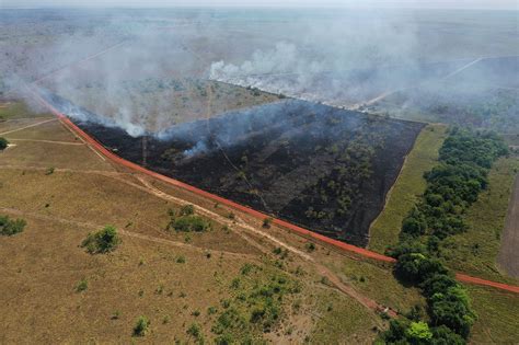 Periódico UNAL El régimen del fuego y las estrategias para mitigar