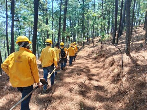 Control Del 80 Del Incendio Forestal En Hidalgo Cofom