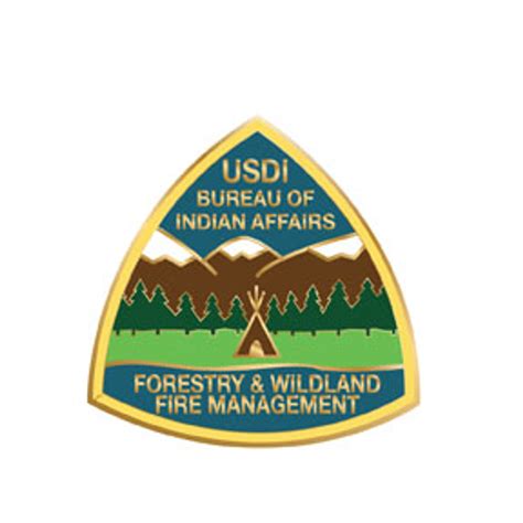 Bureau Of Indian Affairs Forestry And Wildland Fire Management Pin