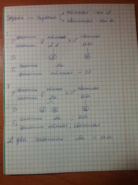 У кукурузы темная окраска доминирует над светлой. Темный гомозиготный ...