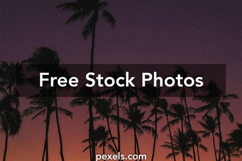 Hawaii Sunset Photos, Download The BEST Free Hawaii Sunset Stock Photos ...