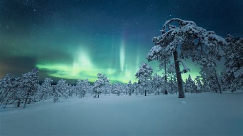 Download Wallpaper 3840x2160 Snow Trees Northern Lights Night Winter 4k Uhd 16 9 Hd Background