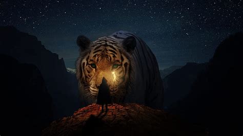 Fantasy Luminos Tiger Tigru Silhouette Night Light Hd Wallpaper