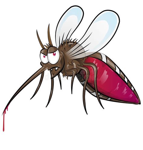 Desenhos Animados Do Mosquito Ilustra Es Vetores E Clipart De Stock