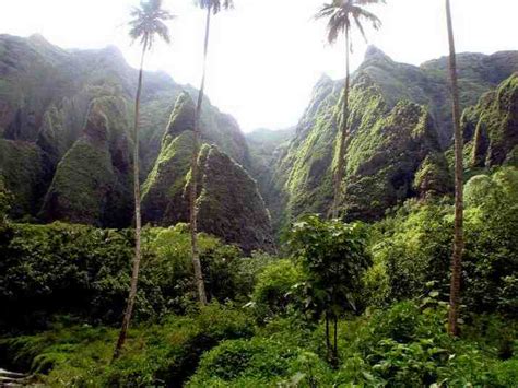 Comment Se Rendre Sur Les Les Marquises Quand Partir Tahiti