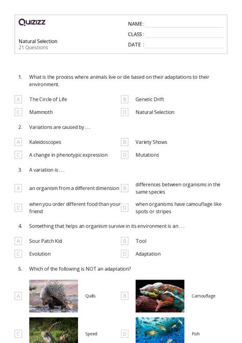 Natural Selection And Adaptations Worksheets For Th Grade On