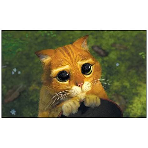 Shrek 2 Kitty Eyes Puss in Boots Canvas Giclee Print