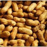 Ground Nuts at best price in Mumbai by NHC Foods Limited | ID: 2800638873