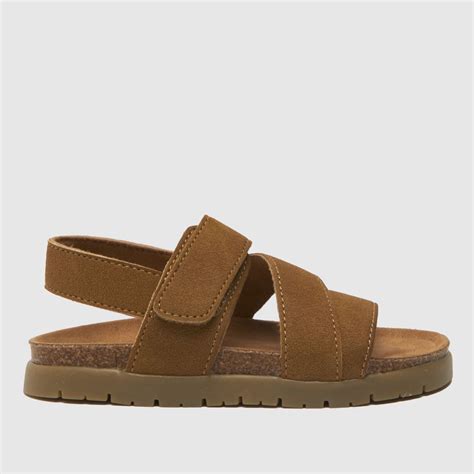 Boy In Sandals Flash Sales | bellvalefarms.com