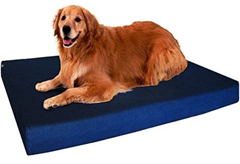 Memory Foam Dog Beds | The 10 Comfiest Memory Foam Dog Beds